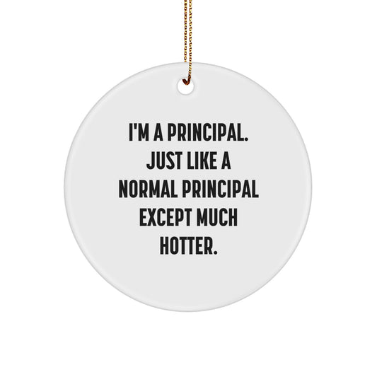 Funny Principal Gifts, Christmas Unique Circle Ornaments, Gifts from Men for Women, Principal Friends, I'm A Principal Except Much Hotter. - Image 1