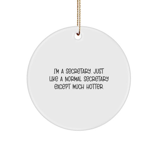 Funny Secretary Gifts for Friends, Secretary Christmas Unique Circle Ornament, I'm A Secretary Decor - Image 1