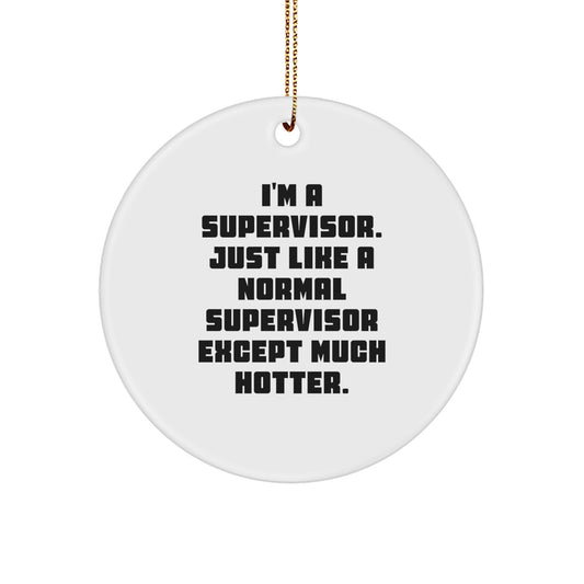 Funny Supervisor Circle Ornament Funny Supervisor Gifts for Men Women Friends Coworkers Family Christmas Unique Gifts from Men Women Friends Coworkers Family - Image 1