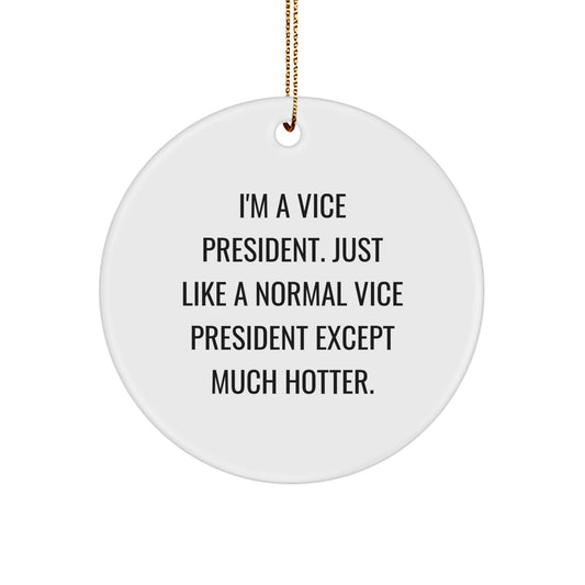 Funny Vice President Gifts, Cute Circle Ornaments for Vice President, Gifts from Men to Vice President I'm A Vice President Except Much Hotter Christmas Unique Gifts for Vice President - Image 1