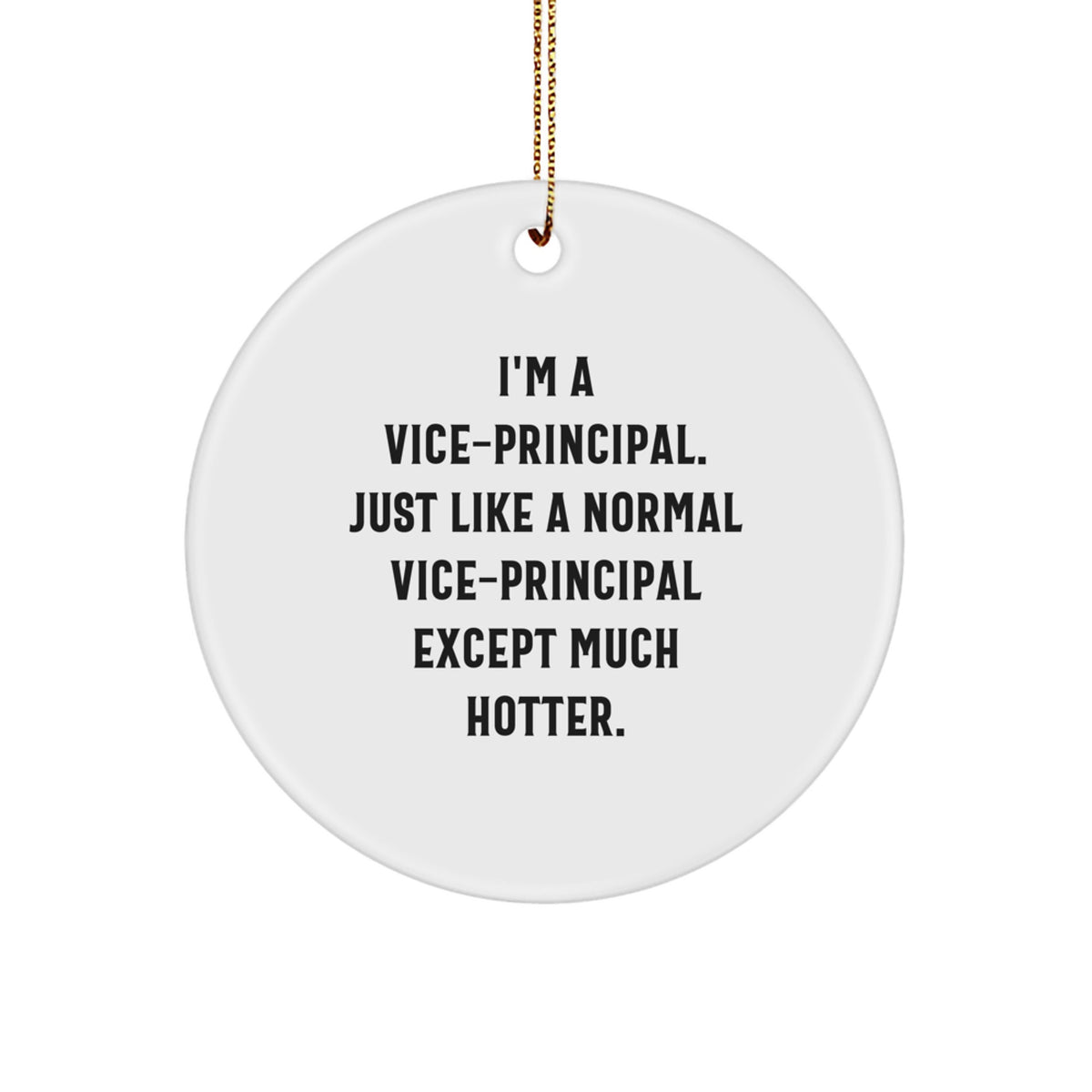 Vice-Principal Keepsake Holiday Christmas Ornament for Him Gift - Image 1