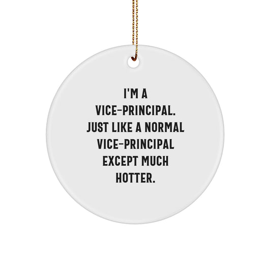 Vice-Principal Keepsake Holiday Christmas Ornament for Him Gift - Image 1
