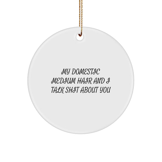 Domestic Medium Hair Cat Keepsake Christmas Ornament for Him Gift - Image 1