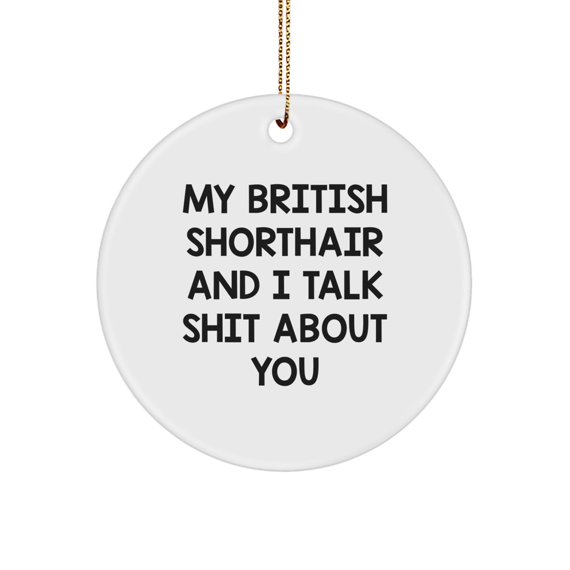 Funny British Shorthair Cat Gifts from Men to Friends, British Shorthair Cat Christmas Unique Ornaments, My British Shorthair And I Talk Shit About You Circle Decor - Image 1