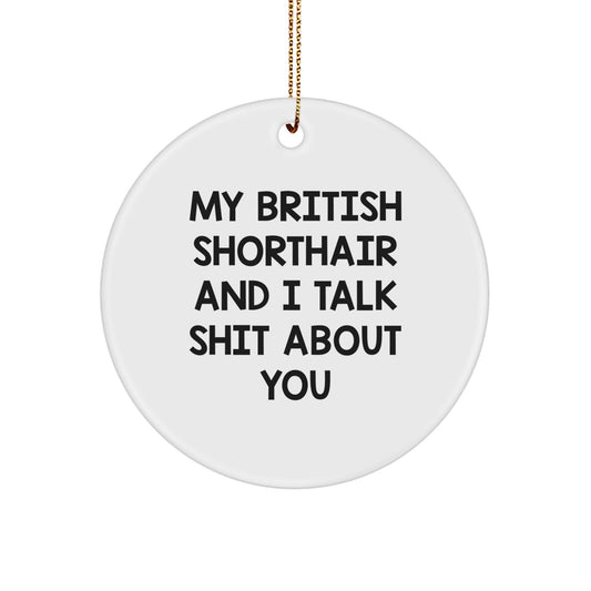 Funny British Shorthair Cat Gifts from Men to Friends, British Shorthair Cat Christmas Unique Ornaments, My British Shorthair And I Talk Shit About You Circle Decor - Image 1
