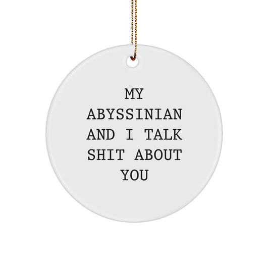 Funny Abyssinian Cat Christmas Circle Ornament Gifts from Friends to Friends who Love Abyssinian Cats and Talk Shit About You - Image 1