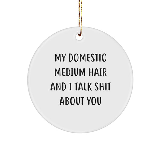 Funny Domestic Medium Hair Gifts for Friends, Christmas Unique Ornament Decor, Quotes about Domestic Medium Hair with Humor, Gifts from Friends for Domestic Medium Hair Owners - Image 1