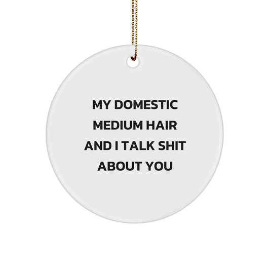 Funny Domestic Medium Hair Gifts from Friends - Circle Ornament with Quirky Quote - Perfect Unique Christmas Unique Gifts for Domestic Medium Hair - Image 1