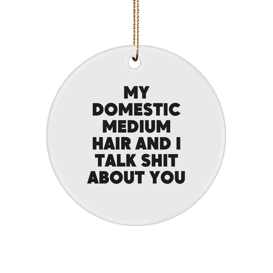Funny Gifts from Friends for Domestic Medium Hair Owners - 'My Domestic Medium Hair And I Talk Shit About You' Circle Ornament, White, Christmas Unique Gifts - Image 1
