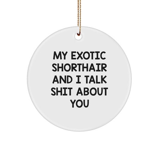 Funny Exotic Shorthair Cat Lover Gifts from Friends to Exotic Shorthair Cat Owners at Christmas Unique Gifts - Image 1
