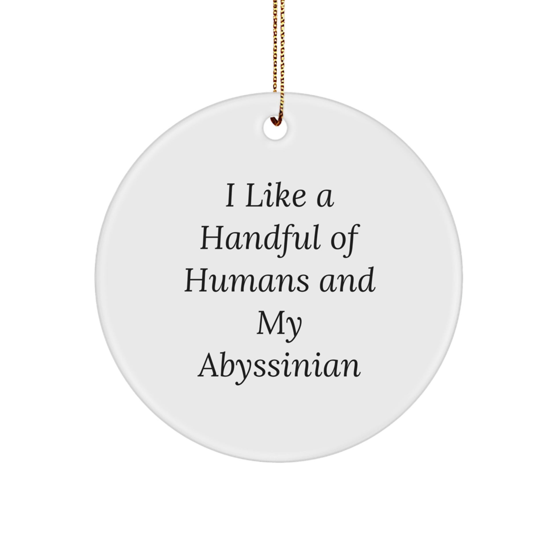Abyssinian Cat Circle Ornament Funny Gift from Friends for Christmas - Image 1