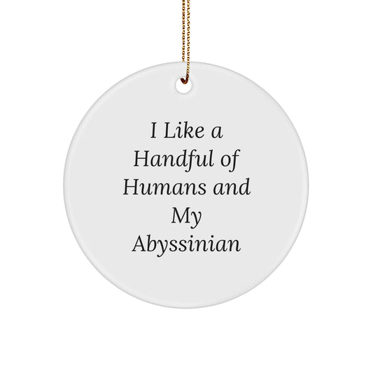 Abyssinian Cat Circle Ornament Funny Gift from Friends for Christmas - Image 1