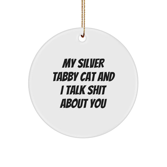 Silver Tabby Cat Circle Ornament Funny Quote Gifts for Men from Friends - Image 1