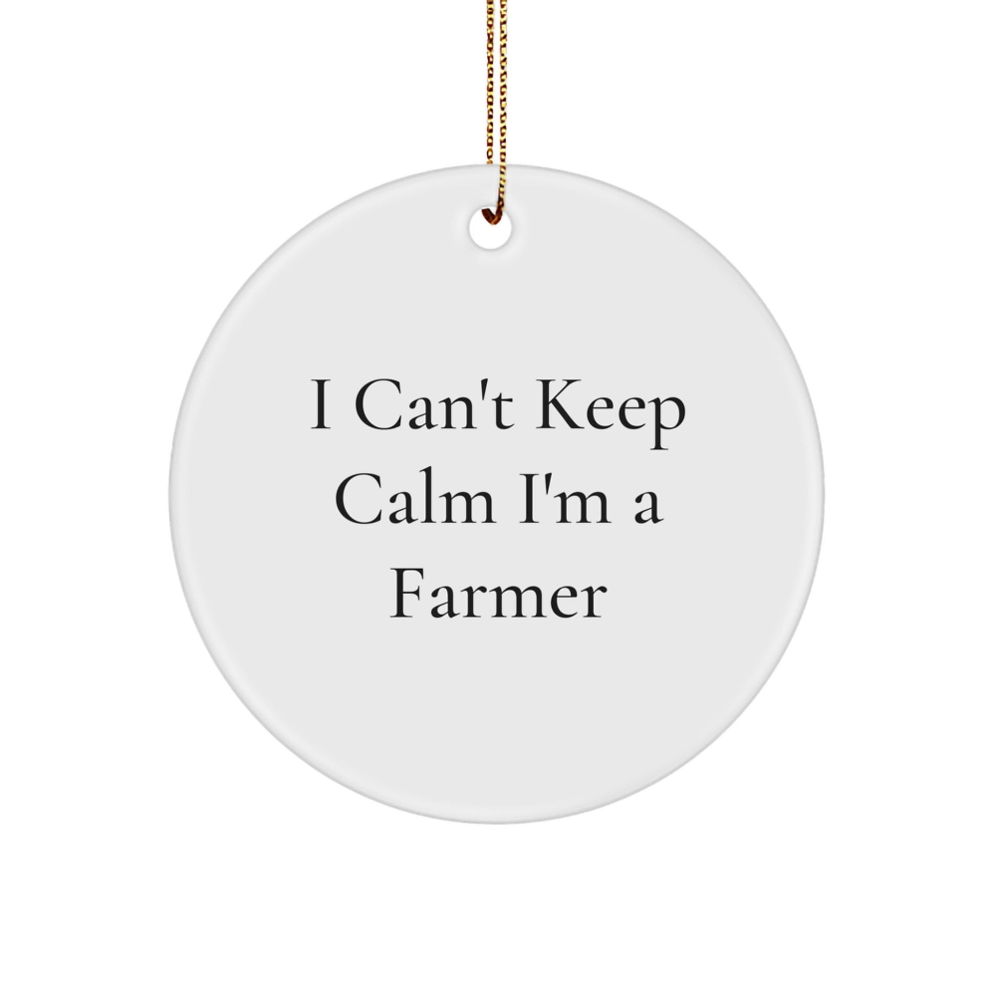 Funny Farmer Gifts from Friends - I'm a Farmer Circle Ornament for Christmas Unique Presents from Family - Image 1