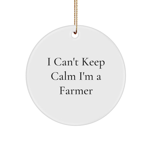 Funny Farmer Gifts from Friends - I'm a Farmer Circle Ornament for Christmas Unique Presents from Family - Image 1