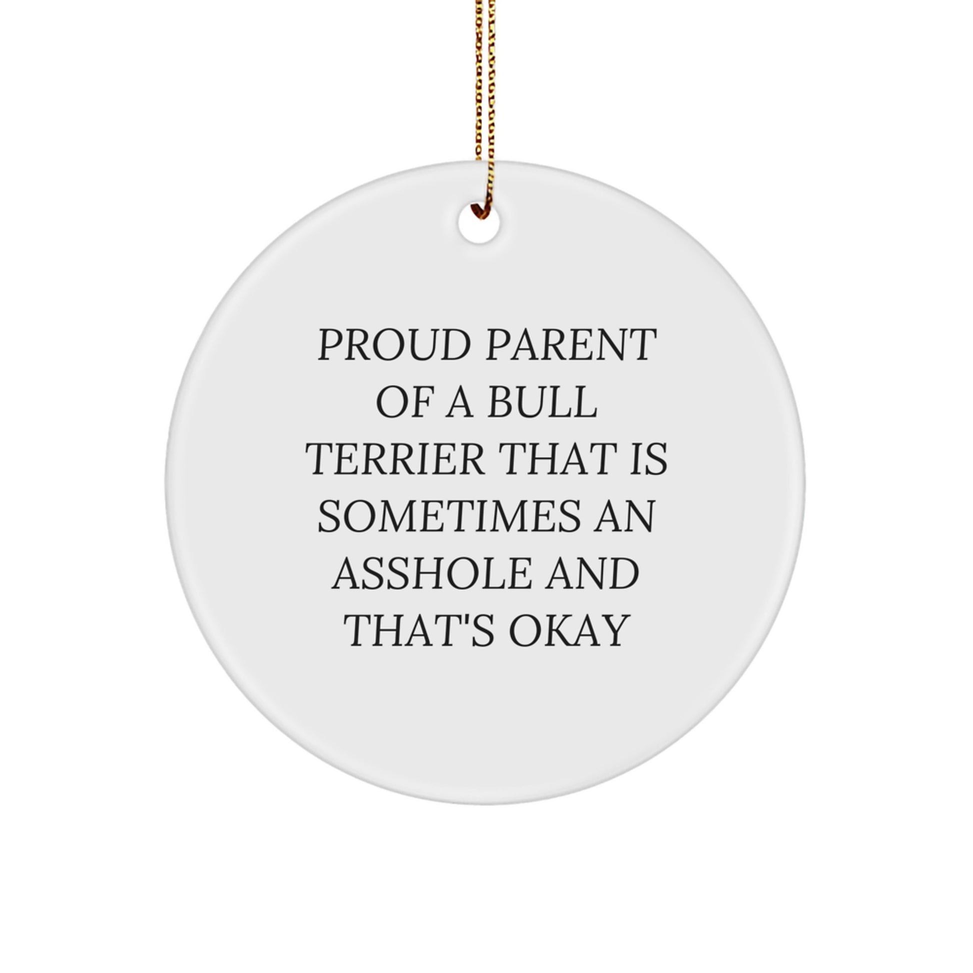 Funny Bull Terrier Dog Lover Circle Ornament, Gifts from Mom to Daughter for Christmas, Unique Bull Terrier Dog Mom Gifts for Home Decor - Image 1