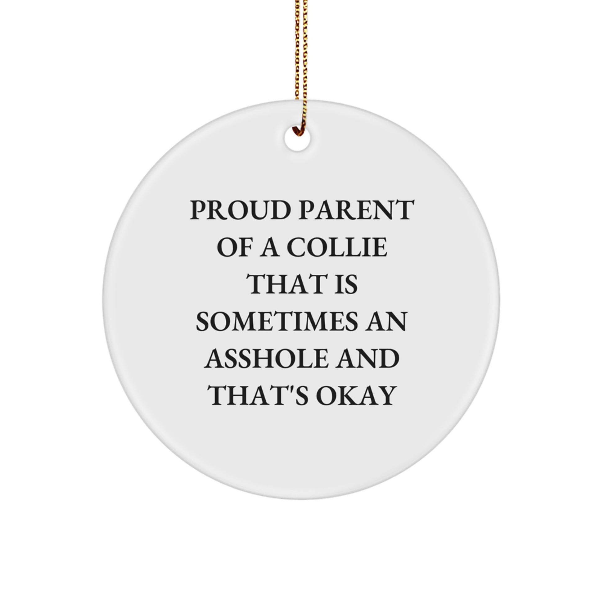 Proud Collie Dad Keepsake Festive Christmas Ornament for Him Gift - Image 1