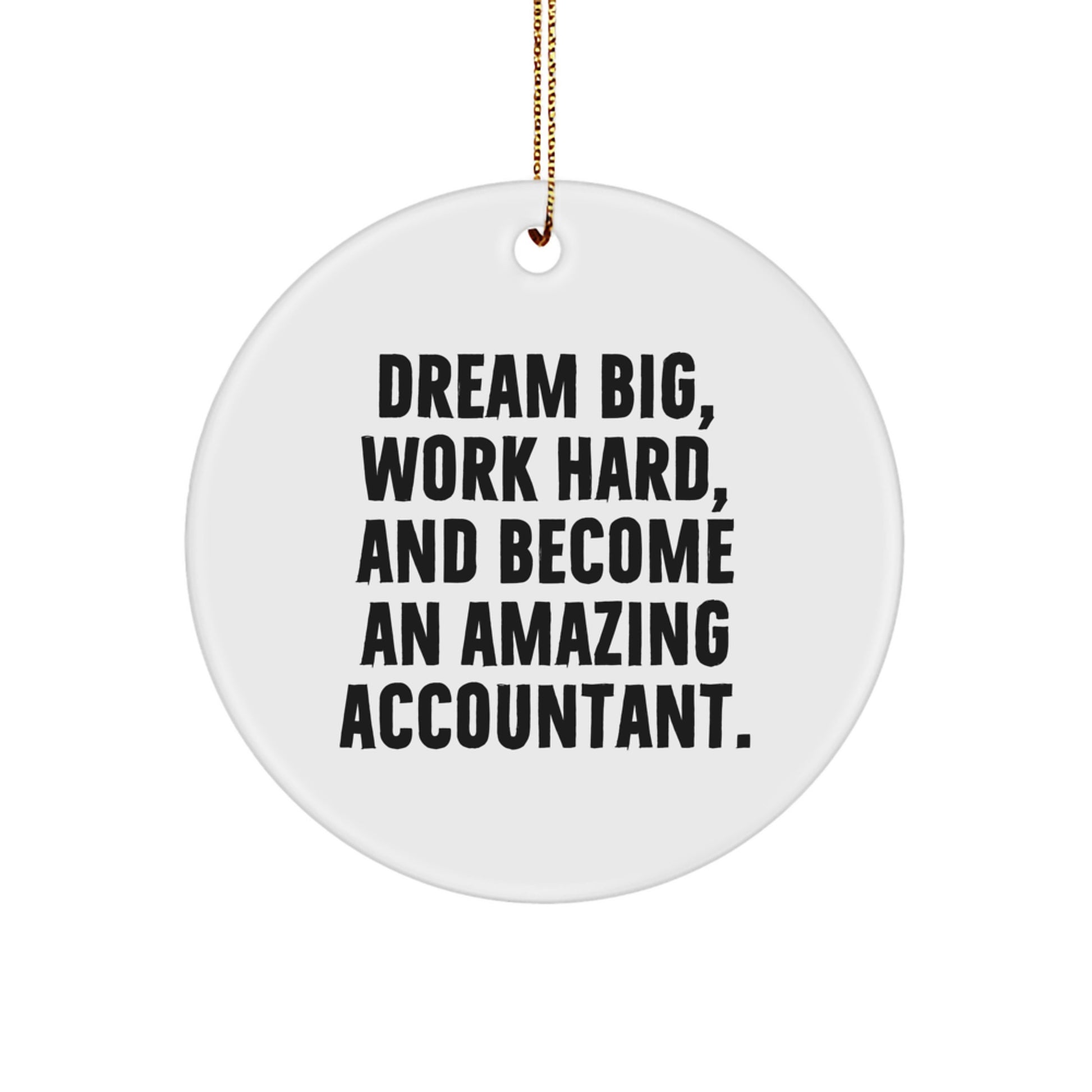 Funny Christmas Unique Gifts for Accountants - 'Dream Big, Work Hard, And Become An Amazing Accountant.' Circle Ornament from Friends and Family - Image 1
