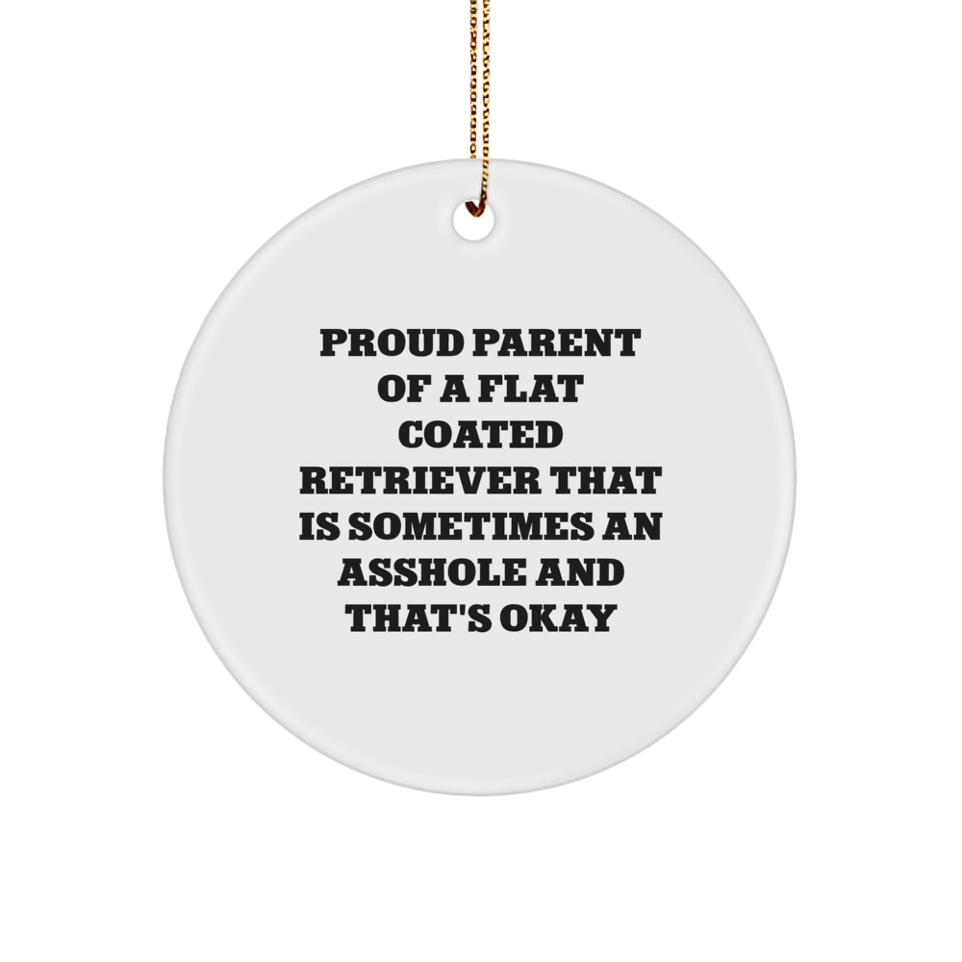 Flat Coated Retriever Dog Lover Gifts from Friends for Christmas Unique Circle Ornament - Proud Parent Quote - Image 1