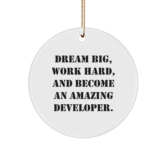 Funny Developer Circle Ornament Gifts from Friends, Christmas Unique Gifts for Men, Dream Big and Work Hard - Image 1