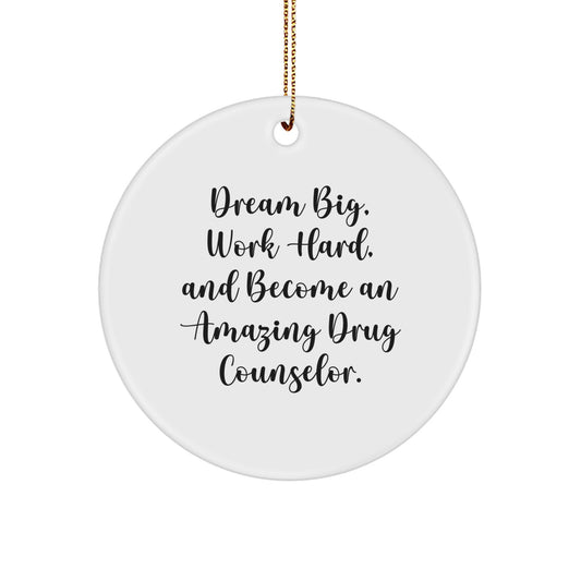 Funny Inspirational Drug Counselor Gifts from Friends for Christmas Unique Circle Ornament - 'Dream Big, Work Hard, And Become An Amazing' - Image 1
