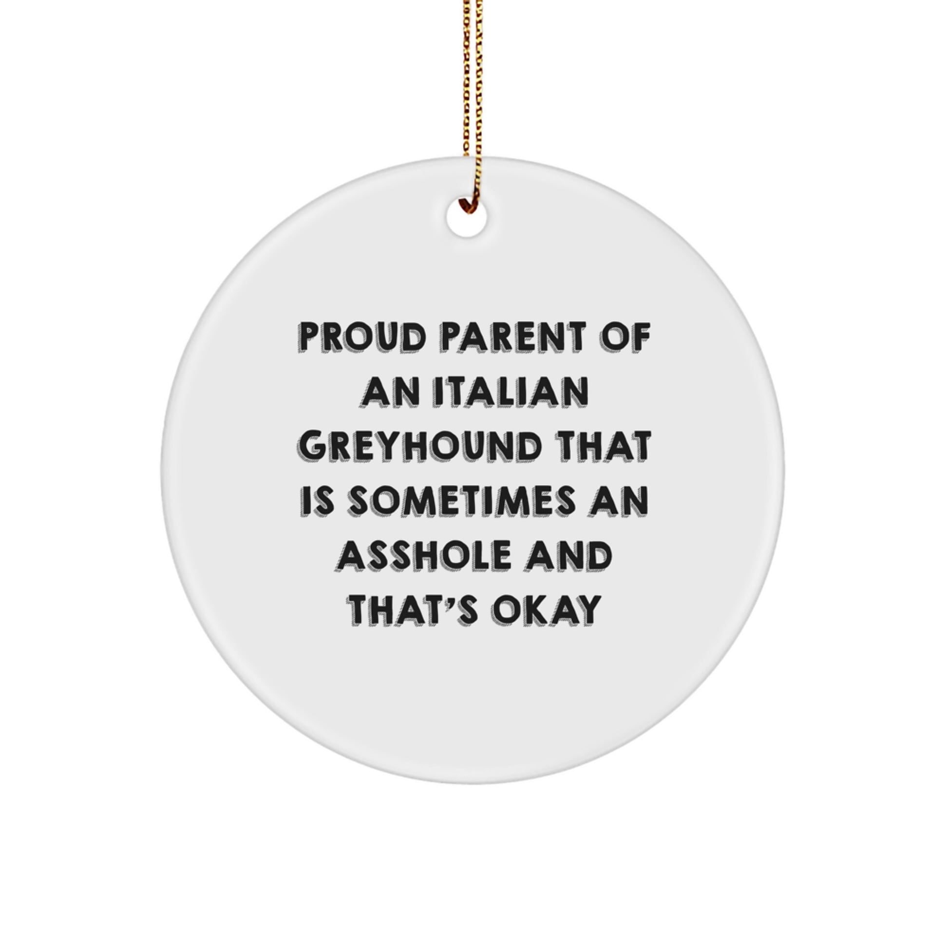 Italian Greyhound Dog Lover Funny Gifts from Family - Gifts for Italian Greyhound Dog Owners at Christmas with Circle Ornament - Proud Parent Quotes - Image 1
