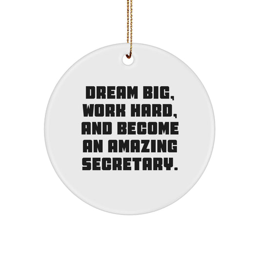 Funny Secretary Circle Ornament Gifts from Friends for Secretary on Christmas Unique Gifts - Image 1