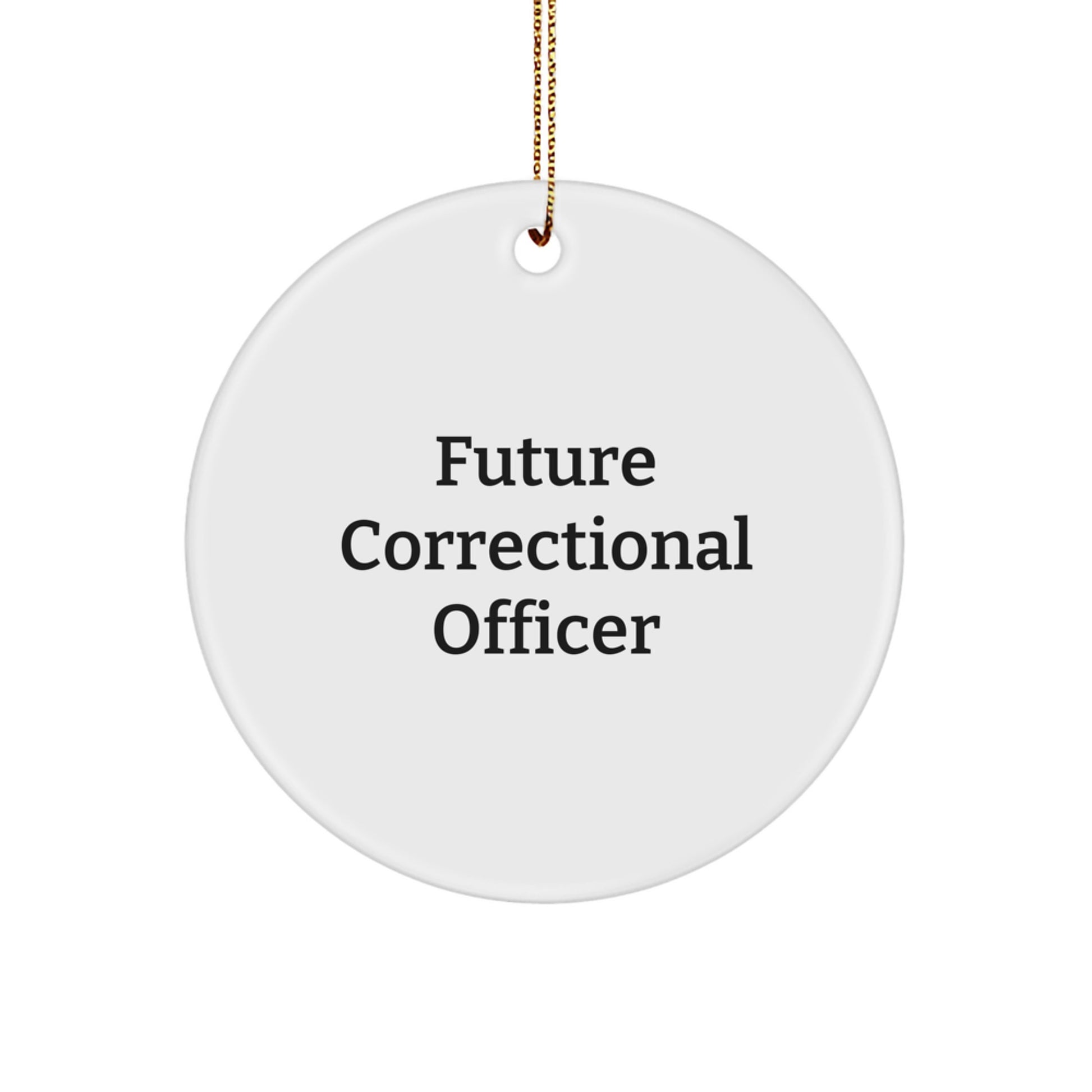 Funny Quote Gifts for Correctional Officer, Future Officer in the Making, Christmas Unique Gifts from Family Friends - Image 1