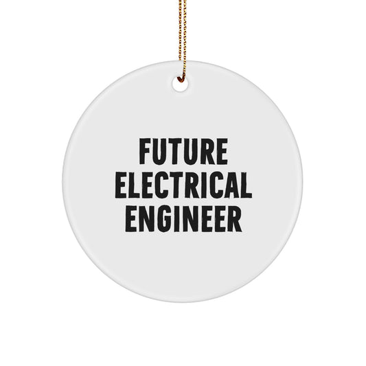 Funny Quote Electrical Engineer Gifts from Friends for Men, Christmas Unique Circle Ornament for Electrical Engineer, Future Electrical Engineer Decoration - Image 1