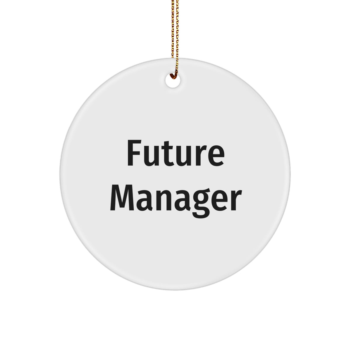 Funny Quote Manager Gifts from Friends, Christmas Unique Circle Ornaments for Manager, Inspirational Future Manager - Image 1