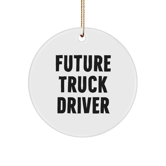 Funny Truck Driver Gifts for Men, Christmas Unique Ornaments for Future Truck Drivers - Image 1