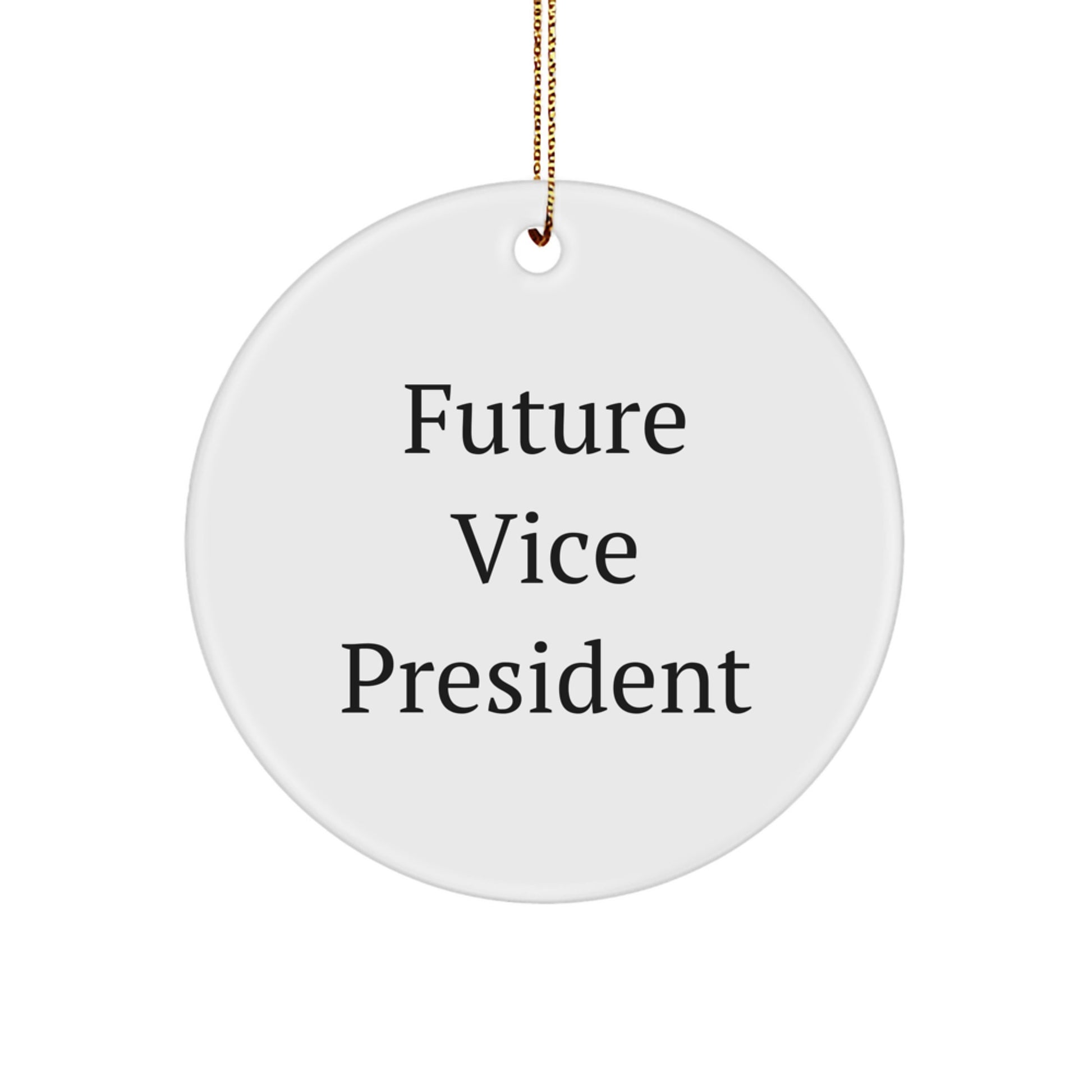 Funny Vice President Quote Circle Ornament Gifts from Men to Vice President for Christmas - Image 1