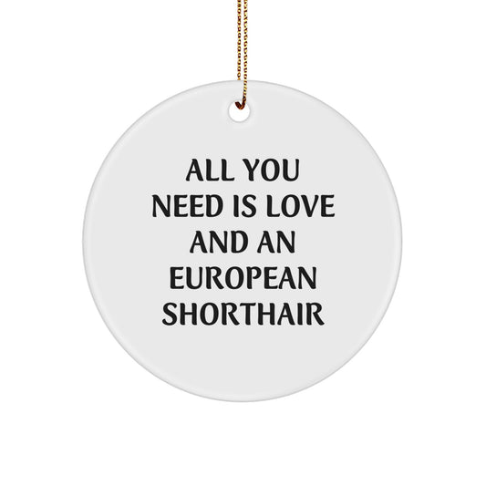 Fun European Shorthair Cat Gifts for European Shorthair Cat Lovers, Cute White Circle Ornament, 'All You Need Is Love And An European Shorthair' Inspirational Quote Christmas Memorable Present - Image 1