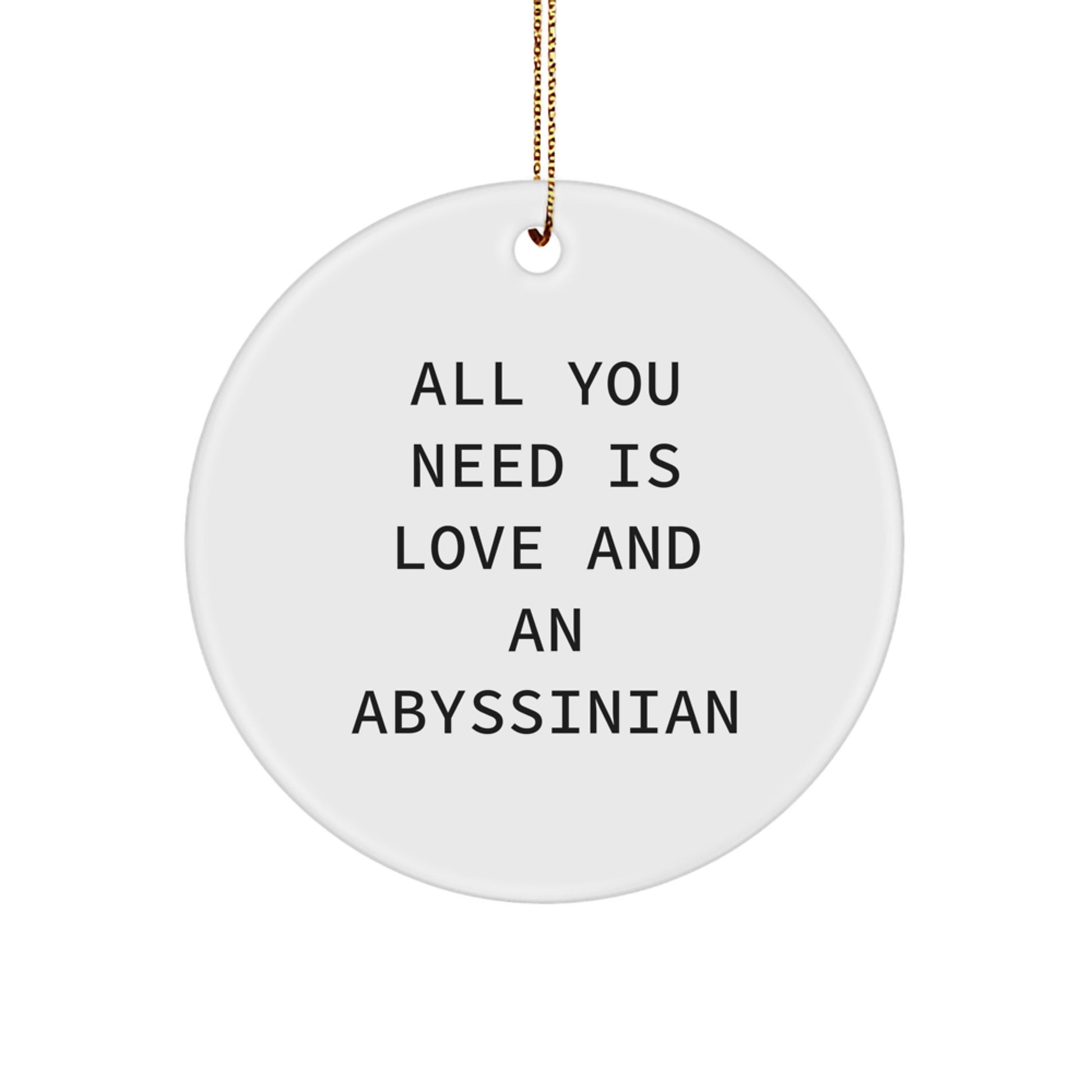 Abyssinian Cat Circle Ornament Gifts from Friends for Christmas Unique Presents - Image 1