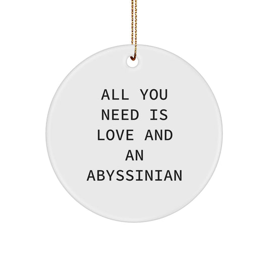 Abyssinian Cat Circle Ornament Gifts from Friends for Christmas Unique Presents - Image 1