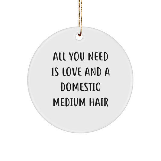 Domestic Medium Hair Circle Ornament Funny Gift for Your Love - Christmas Unique Ornaments for Home Decor - Image 1