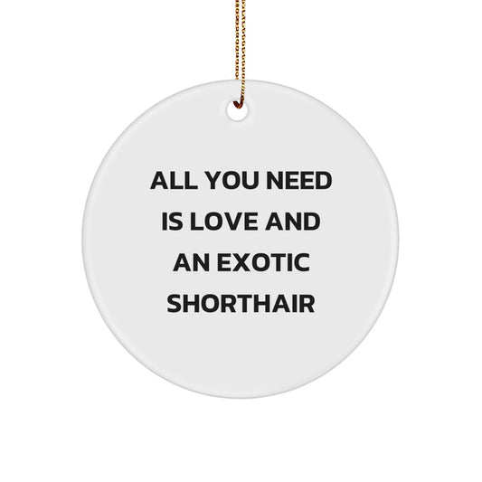 Funny Exotic Shorthair Cat Gifts for Christmas Unique Circle Ornament from Friends - Image 1