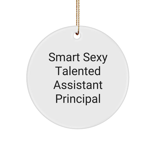 Funny Assistant Principal Christmas Circle Ornament Gifts from Friends and Family - Smart Sexy Talented, Perfect for Men Women Coworkers - Image 1
