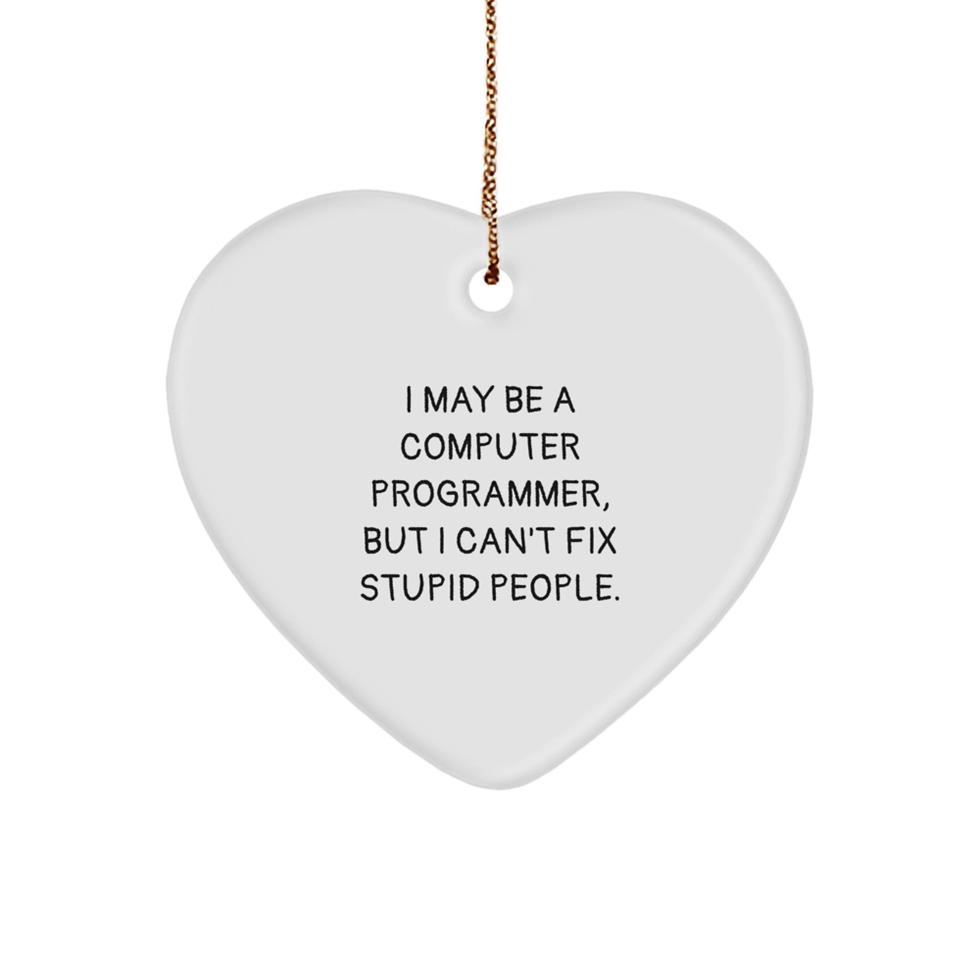 Funny Computer Programmer Gift I May Be A Computer Programmer Heart Ornament for Him Gifts from Men for Christmas - Image 1