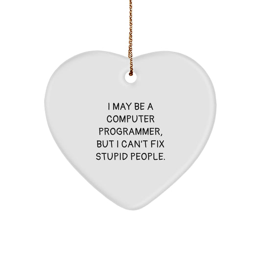 Funny Computer Programmer Gift I May Be A Computer Programmer Heart Ornament for Him Gifts from Men for Christmas - Image 1