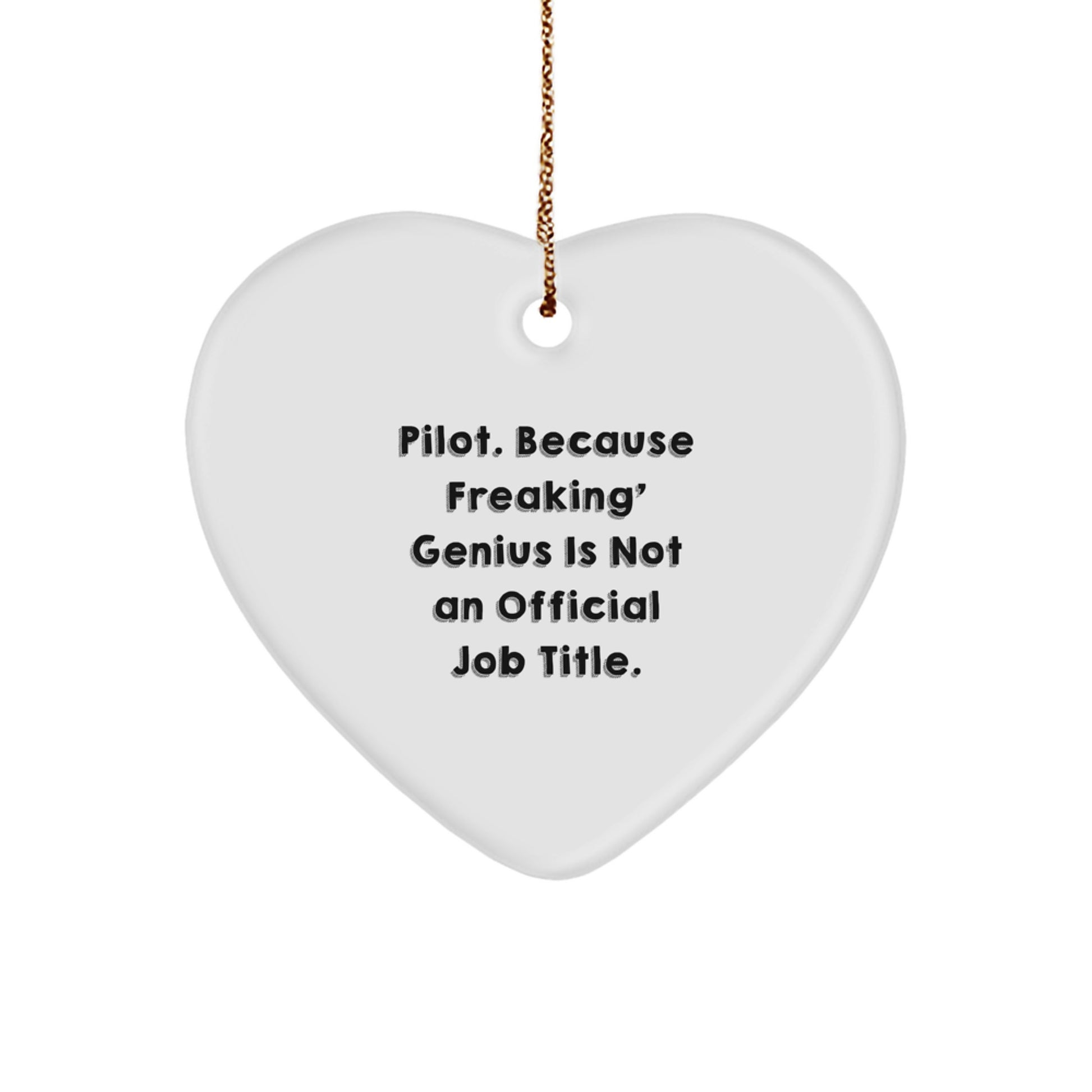 Pilot Heart Ornament Funny Quote 'genius Is Not An Official Job Title' Gifts for Men Pilot Friends Coworkers Family - Image 1