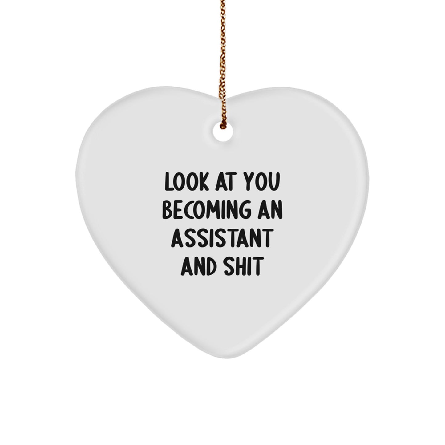 Funny Assistant Heart Ornament Gifts from Men to Assistant on Christmas Unique Gifts - Image 1