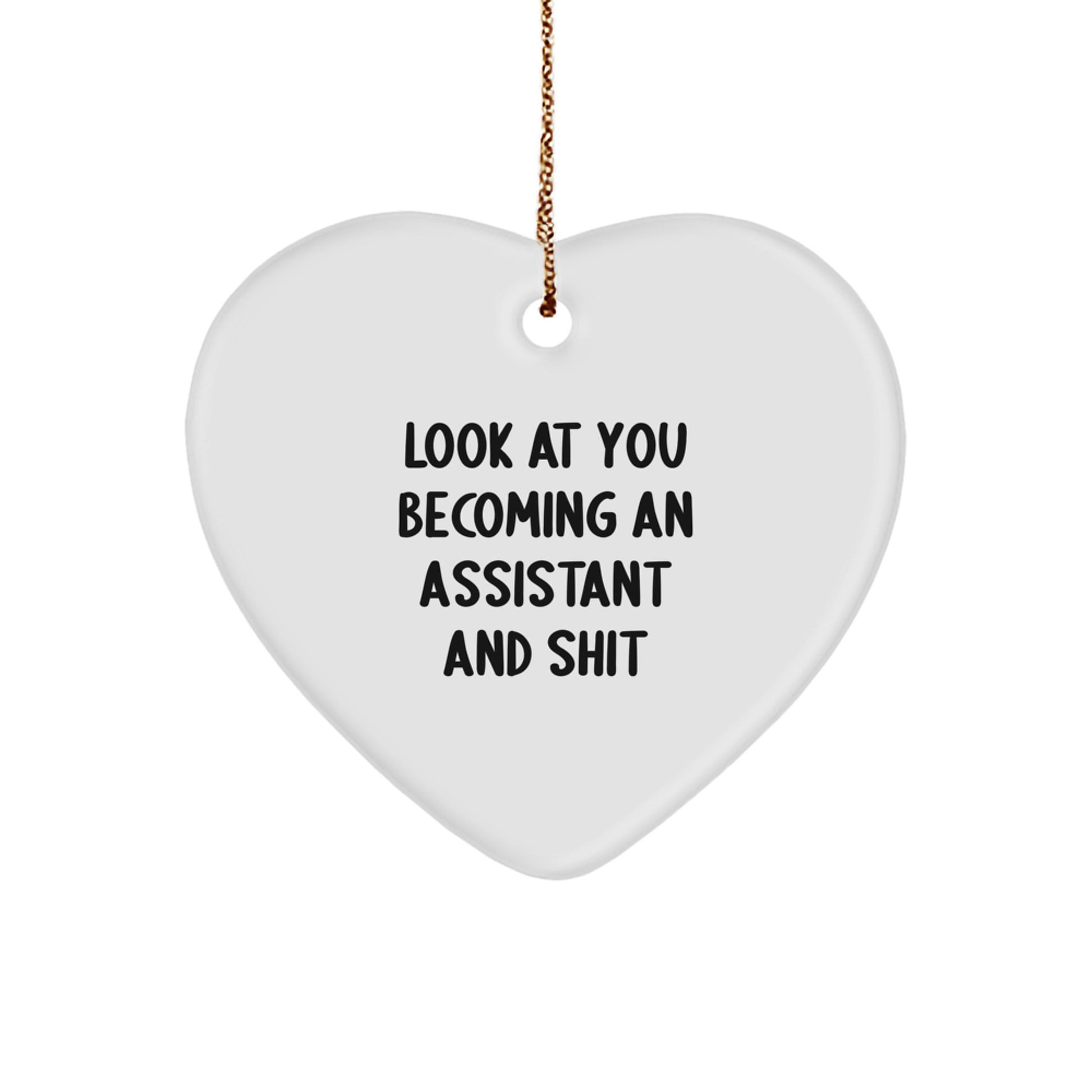 Funny Assistant Heart Ornament Gifts from Men to Assistant on Christmas Unique Gifts - Image 1