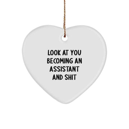 Funny Assistant Heart Ornament Gifts from Men to Assistant on Christmas Unique Gifts - Image 1