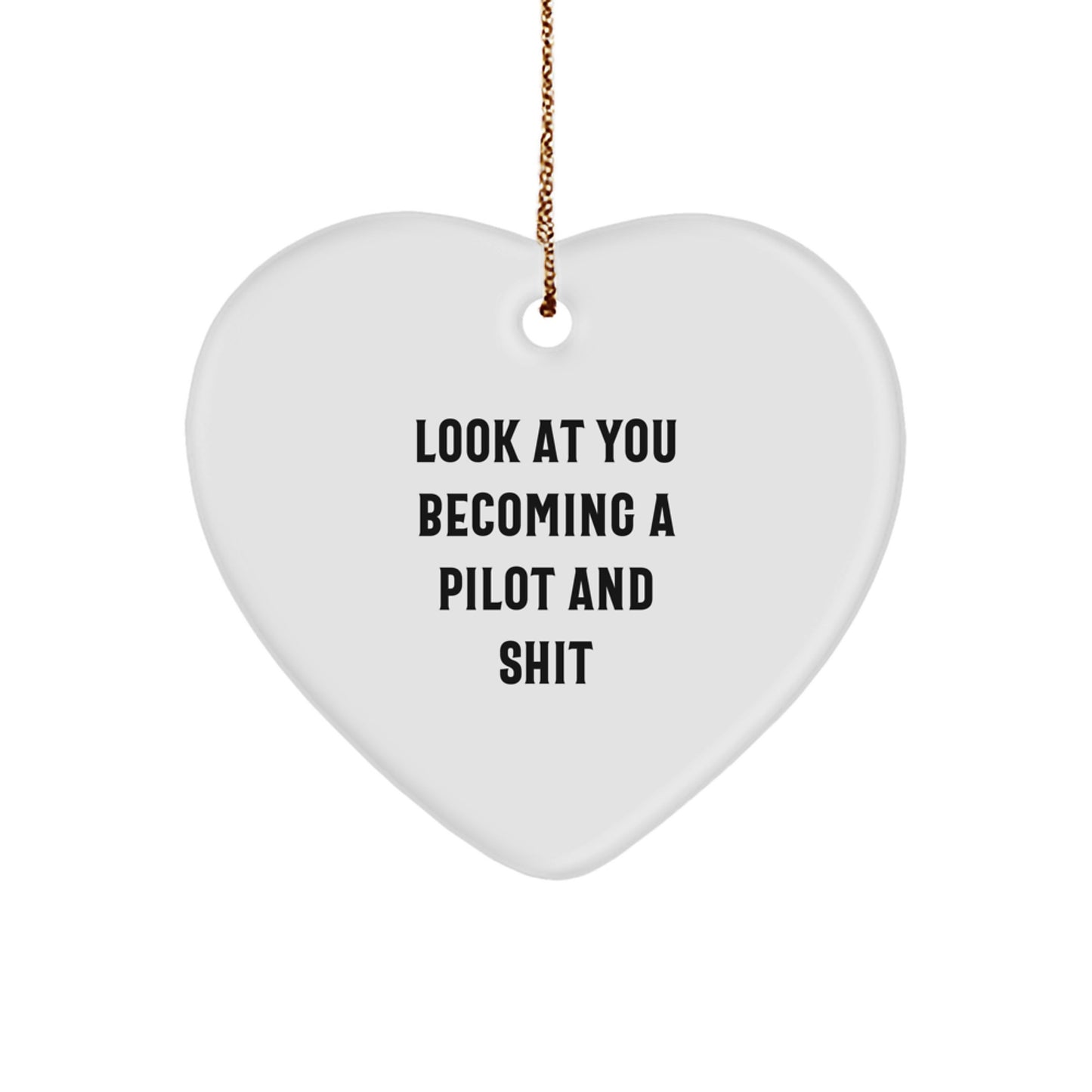 Funny Pilot Gifts for Men - Christmas Unique Heart Ornament Presents from Friends to Pilot Lovers - Image 1