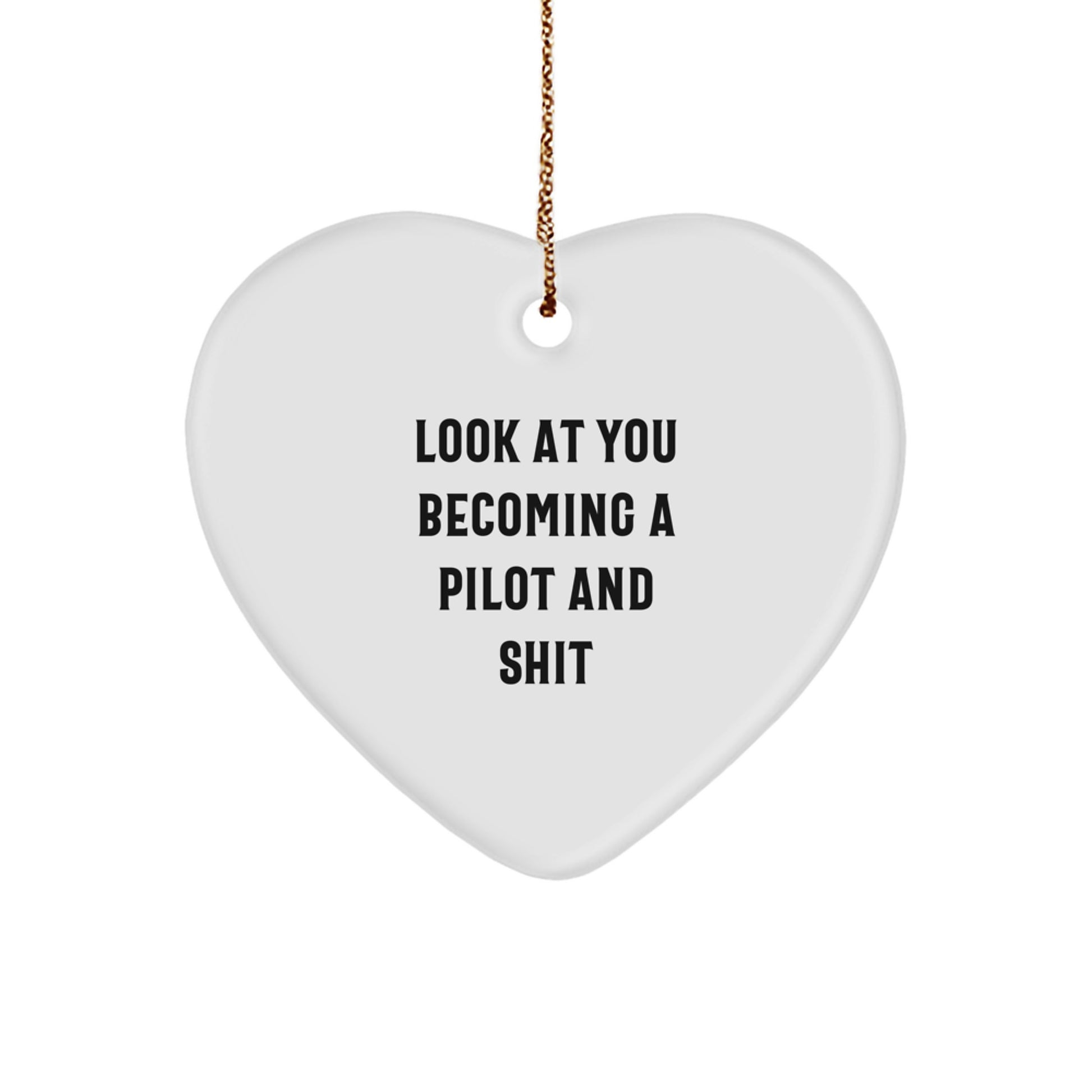 Funny Pilot Gifts for Men - Christmas Unique Heart Ornament Presents from Friends to Pilot Lovers - Image 1