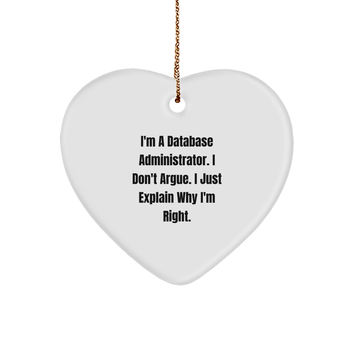 Witty Database Administrator Heart Ornament Roommates Christmas Gift - Image 1