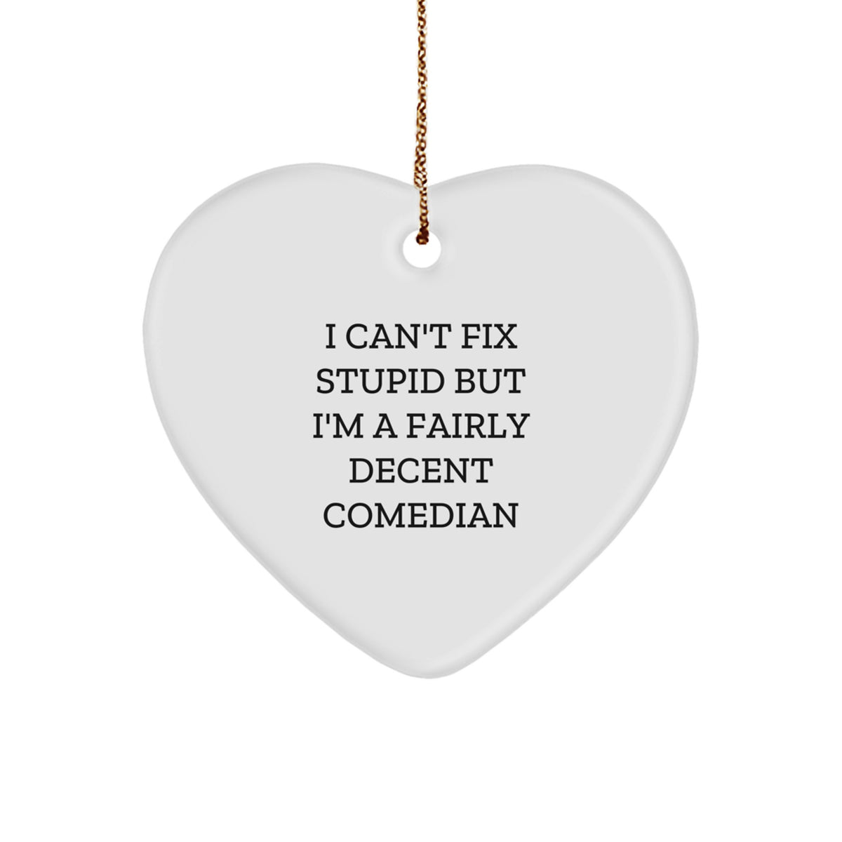Comedian Christmas Ornament Gift for Her Present I Can't Fix Stupid - Image 1