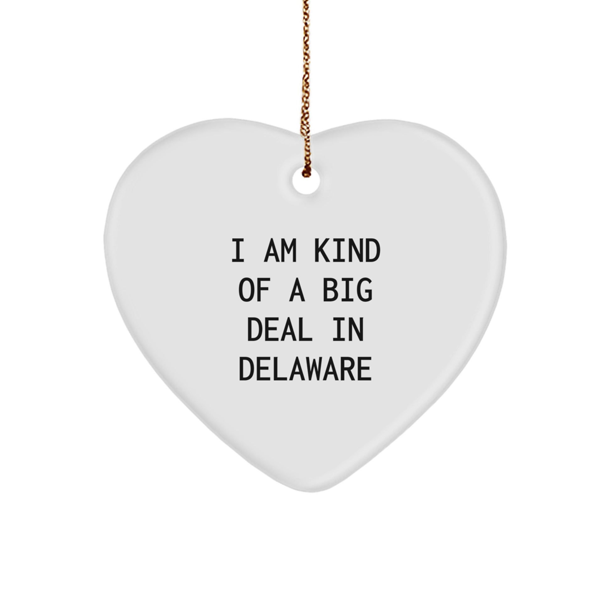 Delaware Heart Ornament Funny Quote Gifts from Friends and Family - I Am Kind Of A Prime Selection In Delaware Christmas Unique Gifts - Image 1