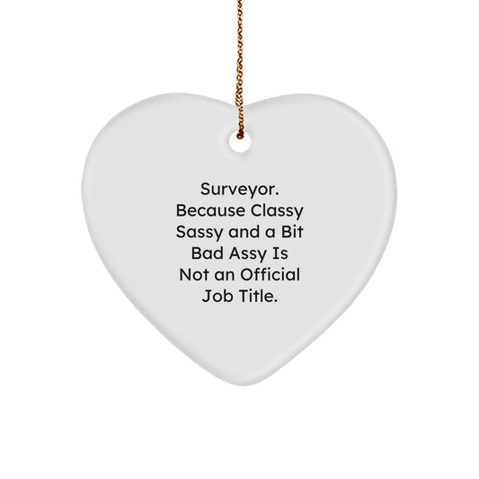 Funny Surveyor Heart Ornament Gifts from Men to Surveyor Friends - Surveyor Unique Christmas Unique Gifts - Image 1